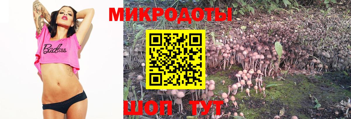 Галлюциногенные грибы мухоморы  Псилоцибиновые грибы мухоморы  Вход с VPN  Советская Гавань 