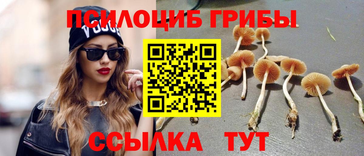 Псилоцибиновые грибы GOLDEN TEACHER Советская Гавань